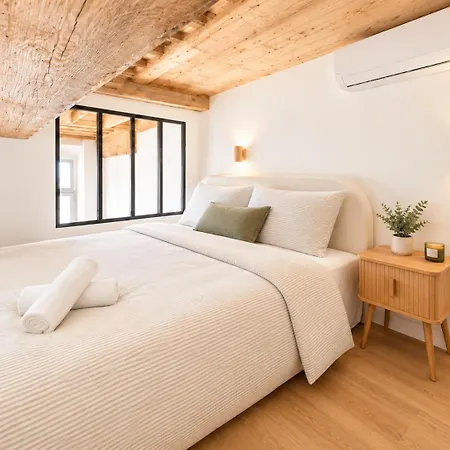 Apartment Place Bellecour - Loft 2 *